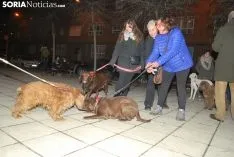 Una imagen de la bendición este miércoles. /SN
