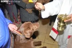 Una imagen de la bendición este miércoles. /SN