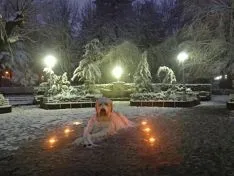 La nieve en la capital. Beatriz Cascante
