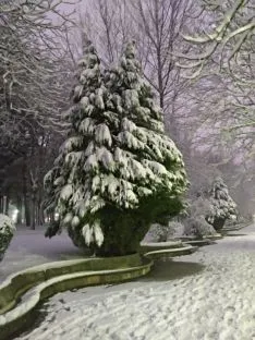 La nieve en la capital. Beatriz Cascante
