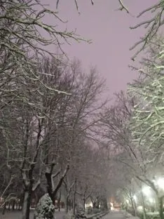 La nieve en la capital. Beatriz Cascante