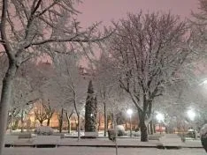 La nieve en la capital. Beatriz Cascante