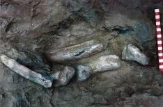 Foto 3 - Buscando dinosaurios en Soria