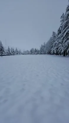 Domingo de nieves en Soria.