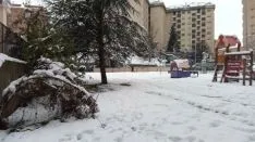 Domingo de nieves en Soria.