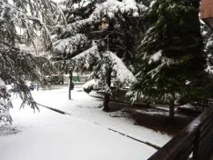 Domingo de nieves en Soria.
