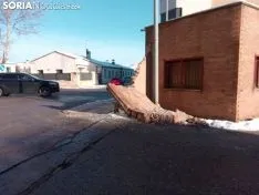 Muro de la estación de bus de Soria.
