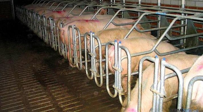 El sector agrario, muy precoupado por los cambios de la PAC