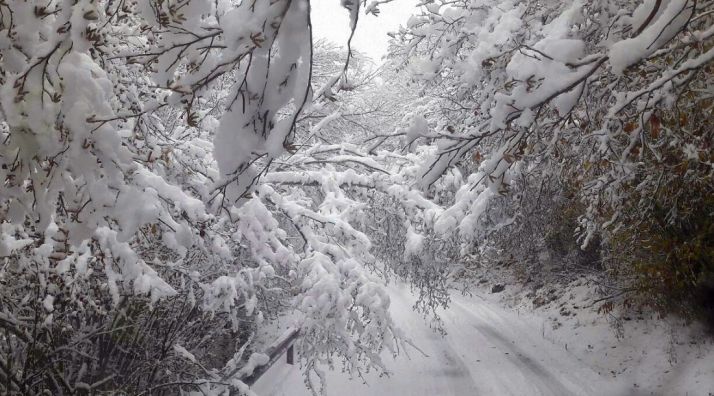 Protección civil confirma el aviso por nevadas