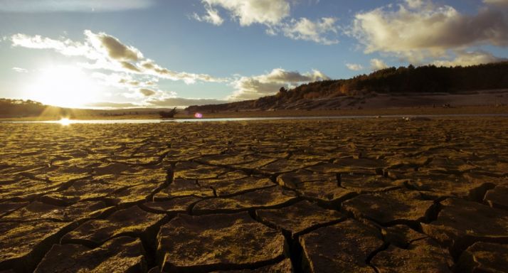 Imagen de la sequía este otoño. /Sara Roncal