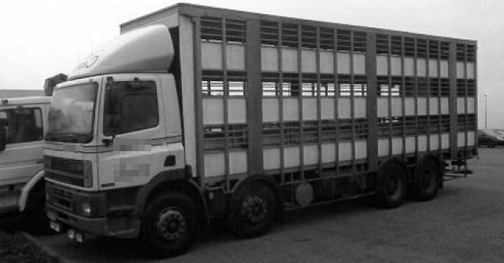 Un vehículo de transporte de ganado.