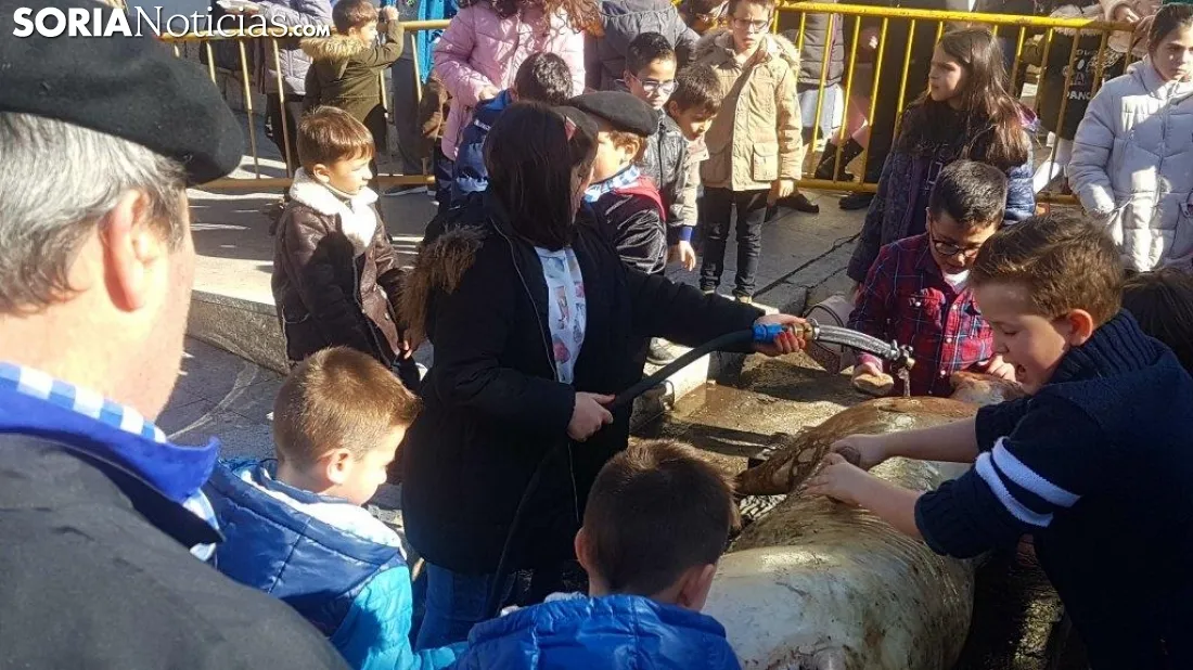 Matanza del cerdo al aire libre en San Leonardo
