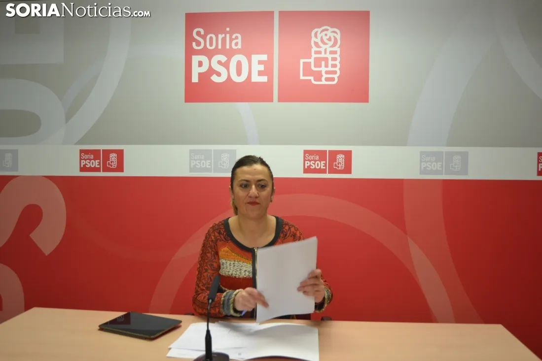 Foto 2 - El PSOE pide a Herrera que exija a Rajoy la puesta en marcha inmediata de la estrategia demogr&aacute;fica