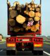 Foto 1 - LOSAN aboga por aumentar la carga de madera en camión