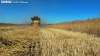 Imagen de archivo sobre la cosecha en un campo soriano. Soria Noticias. 