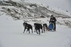 Jorge García, durante el Campeonato de Castilla y León de Mushing.