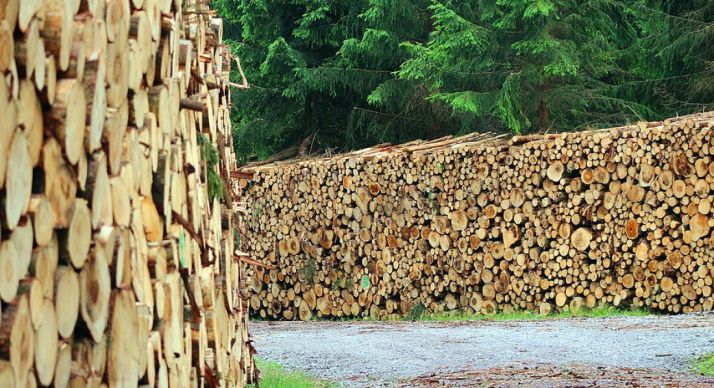 FOES acoge una jornada sobre la aplicación del Reglamento de la Madera