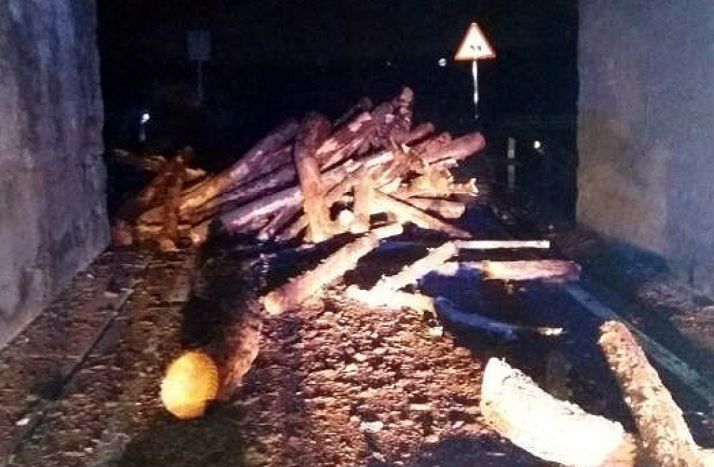 Los troncos esparcidos por la calzada y en el interior el puente./Subdelegación