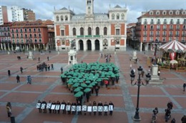 Paraguas verdes en la plaza Mayor de Valladolid. Europa Press. 