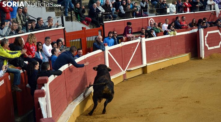 Cs pide solvencia económica al próximo adjudicatario de la plaza de toros