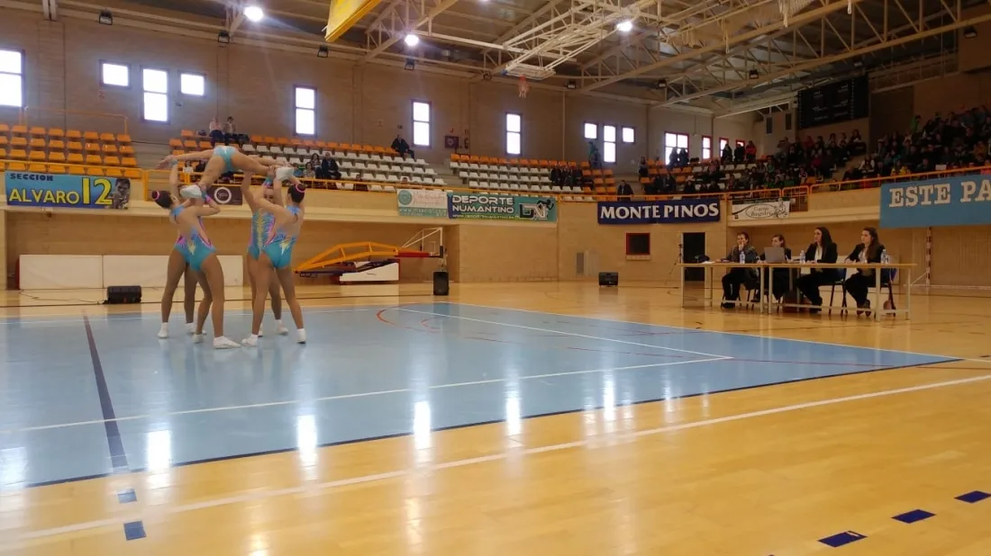 Campeonato Regional de Gimnasia Aeróbica.