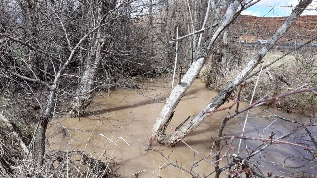 Foto 2 - Denuncian el &ldquo;lamentable estado&rdquo; de diversos puntos de  la red fluvial de la provincia