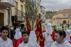 Domingo de Ramos. Freddy Páez