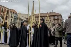 Domingo de Ramos. Freddy Páez