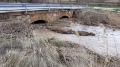 Foto 5 - Denuncian el &ldquo;lamentable estado&rdquo; de diversos puntos de  la red fluvial de la provincia