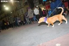 Una imagen de la manifestación de este jueves, 8-M. /SN