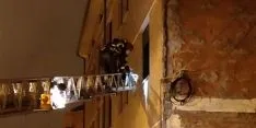 Foto 5 - Amplio dispositivo en la calle Morales Contreras por una se&ntilde;ora que no respond&iacute;a