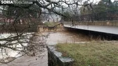 Los ríos de la Comarca de Pinares aguanta, de momento, sin desbordamientos.