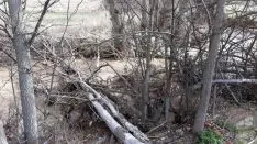 Foto 3 - Denuncian el &ldquo;lamentable estado&rdquo; de diversos puntos de  la red fluvial de la provincia