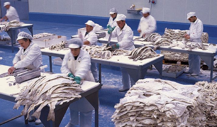 Factoría de Bacalao Dimar en Ágreda. /BD