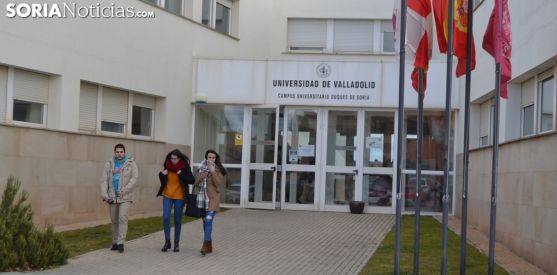 El Gobierno concedió el 60% de las becas universitarias que se solicitaron el pasado curso