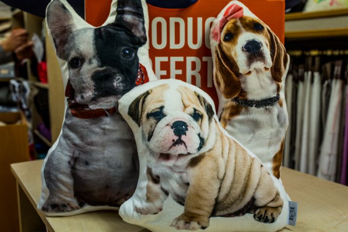 ¡Te van a encantar estos cojines de perritos por 7,50&euro; en SoriaDeCompras!