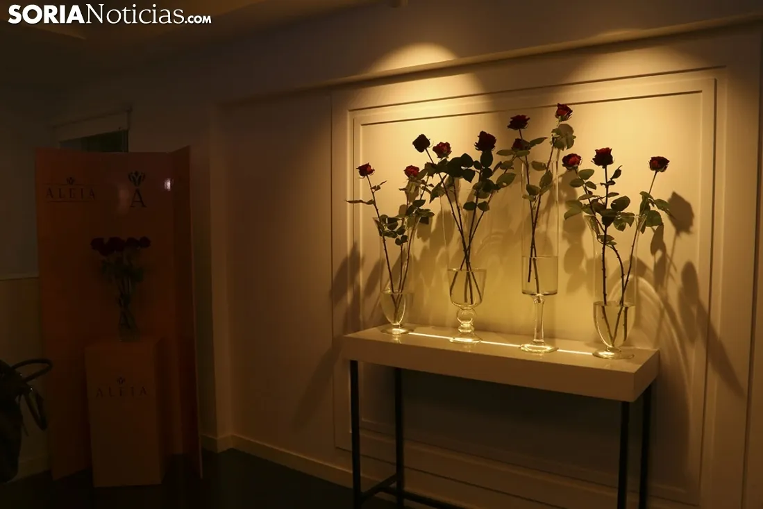Imágenes de la visita a Aleia Roses. Freddy Páez