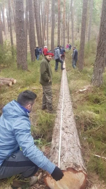 Foto 7 - Las pingadas de los Mayos se reviven en Molinos, Navaleno y San Leonardo 