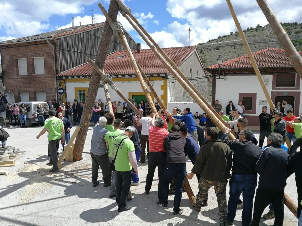 Foto 2 - Las pingadas de los Mayos se reviven en Molinos, Navaleno y San Leonardo 