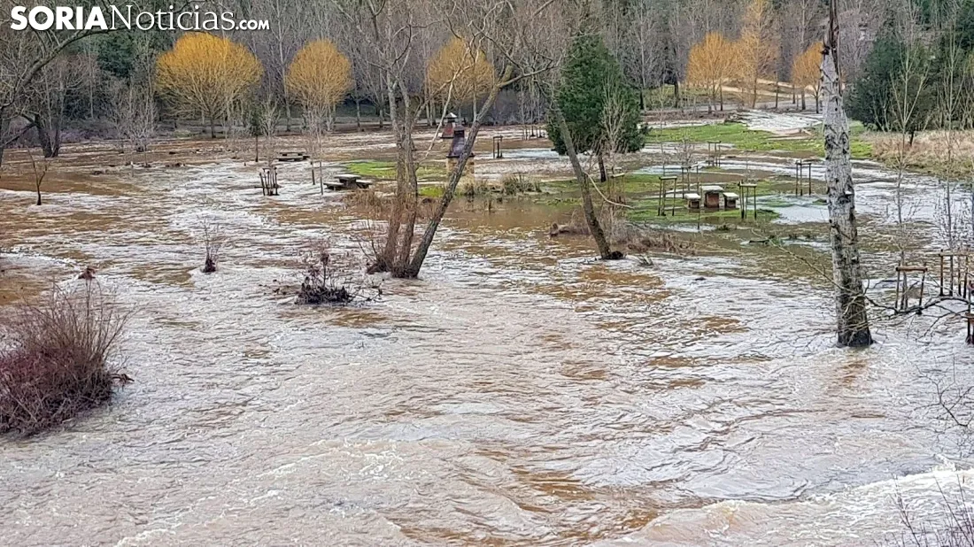 Imagen del río esta mañana de miércoles a la altura del puente de la Galiana. /SN