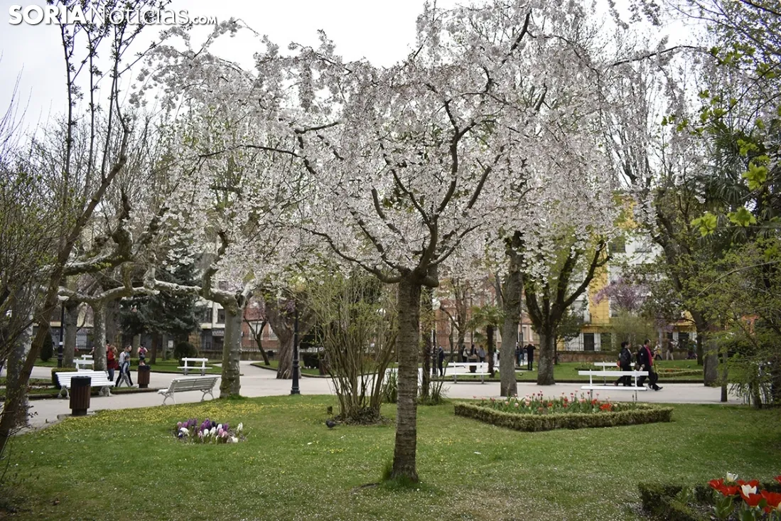 La primavera llega a la Dehesa. 