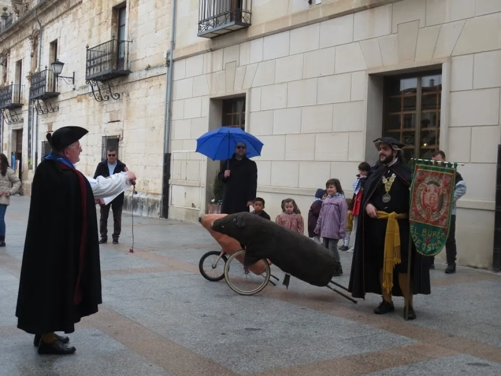 Foto 10 - El Virrey Palafox ha celebrado el tradicional encierro de cochinas para los m&aacute;s peque&ntilde;os