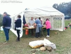 Imágenes de la romería de San Marcos en Ólvega.