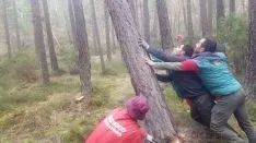 Foto 8 - Las pingadas de los Mayos se reviven en Molinos, Navaleno y San Leonardo 