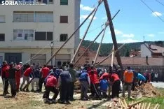 En Navaleno son los propios jóvenes quienes arrastran el pino desde el monte.