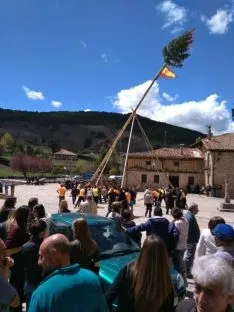 Foto 4 - Las pingadas de los Mayos se reviven en Molinos, Navaleno y San Leonardo 