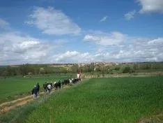 Mayo en Quintanilla de Tres Barrios. 