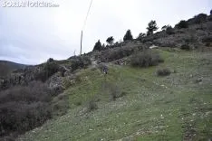 Imágenes de la VII Arganza Trail.