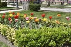 La primavera llega a la Dehesa. 