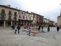 Foto 4 - El Virrey Palafox ha celebrado el tradicional encierro de cochinas para los m&aacute;s peque&ntilde;os
